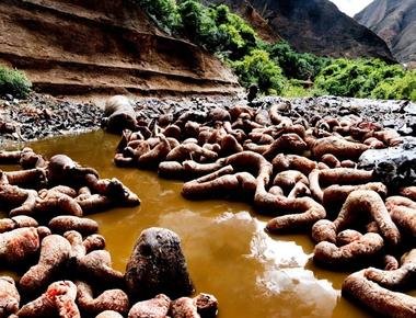 The mighty riverbed almost tears the meat from the bones