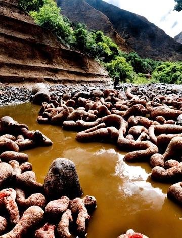 The mighty riverbed almost tears the meat from the bones