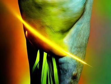 The laser light passes through. skin, muscle, bone