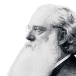 Basilio Luz y Sombra